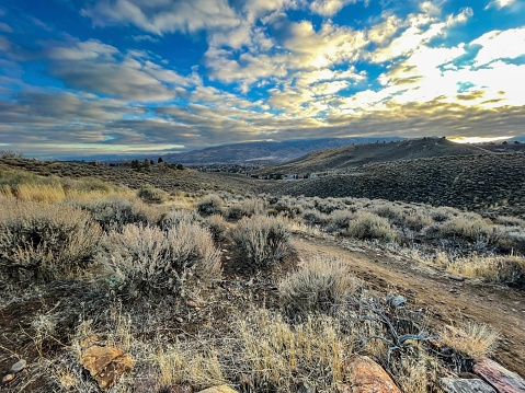 The beautiful surroundings of South Mountain Park, Phoenix, Arizona located in the Southwest USA. The park is home to the famous saguaro cactus which is a world famous symbol for the Western United States.