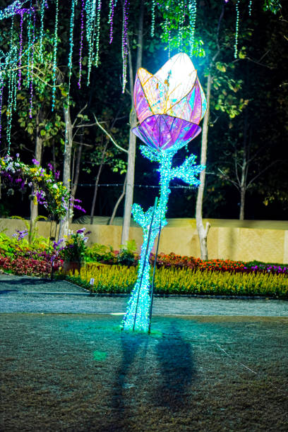 istock Vertical image of a beautiful tulip arch decorated with tiny colorful lights during the night of a flower festival in Chiang Mai, Thailand. 2044648486