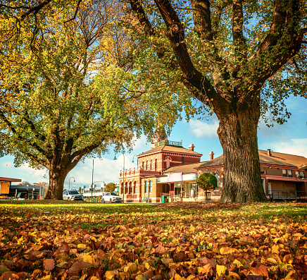 The scene of the old-time post office building and the garden in the autumn in Traralgon