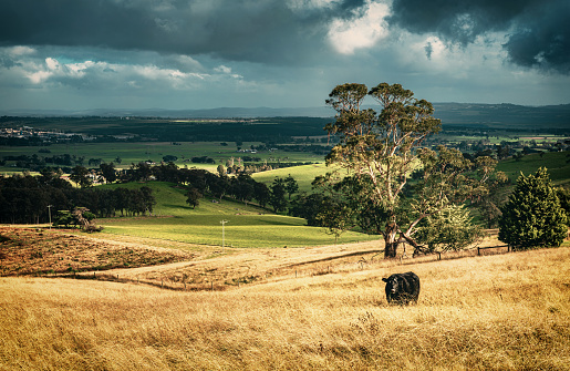 The view of the countryside in Gippsland in Victoria near Tyers