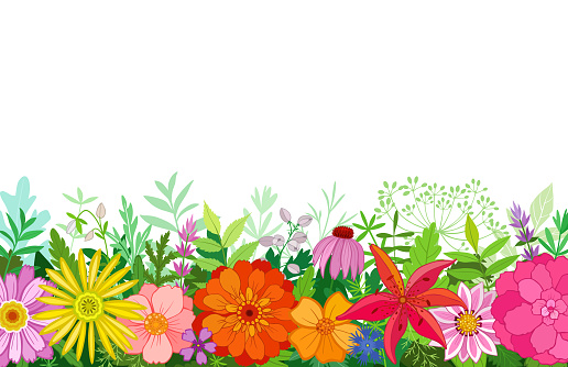 Vector background with flowers and plants. EPS 10 file contains vector mask