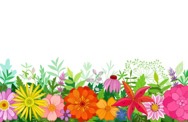 Vector illustration of Vector background with flowers and plants