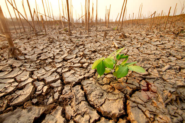 istock climate change and recovery of nature 2044698276