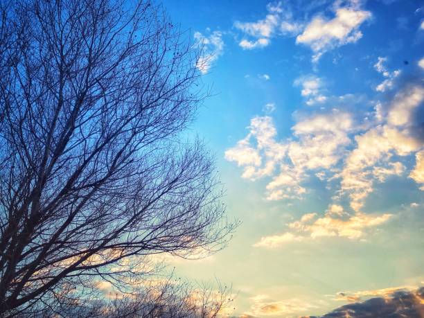 Sunset sky for background or sunrise sky and cloud at morning.