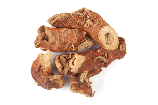 istock Dry Organic Kulanjan (Alpinia galanga) roots, isolated on a white background. 2044726945