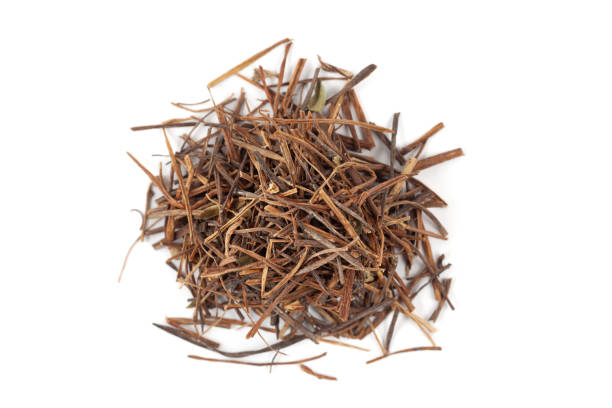 istock Dry Organic Amar Bel (Cuscuta reflexa) roots, isolated on a white background. 2044727111