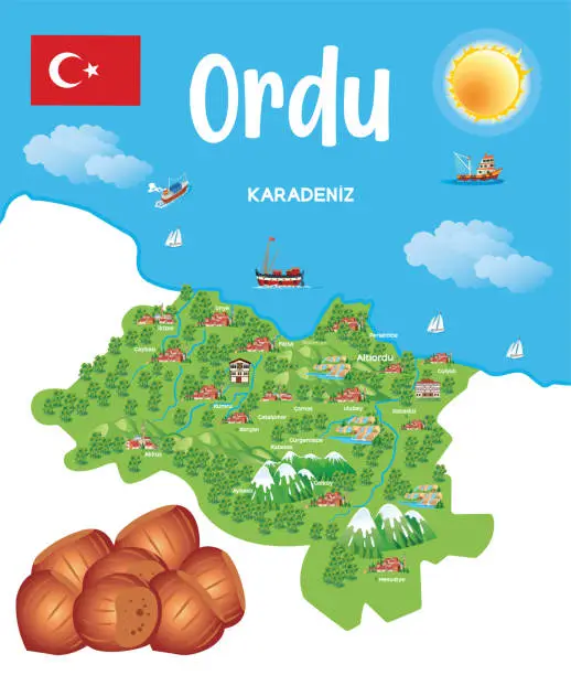 Vector illustration of Ordu City and  Hazelnut