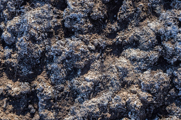 ground covered with salt texture in Uzbekistan desert