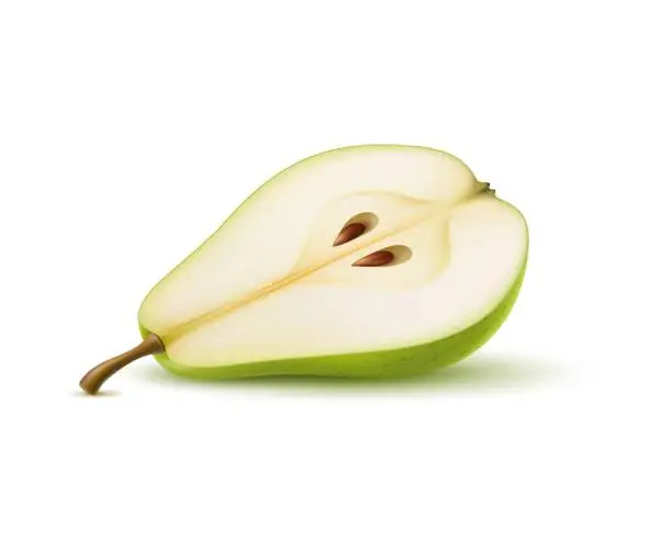 Vector illustration of Raw realistic green pear, ripe fruit in half cut