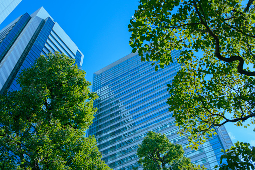 A meadow in front of a commercial building in the city