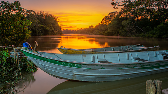A beautiful landscape of the Brazilian Pantanal at sunset.