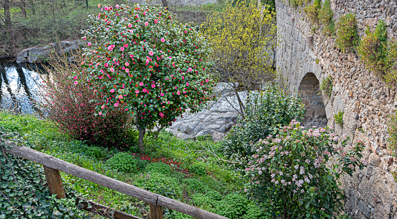 The Roman bridge of Arenas de San Pedro, with the flowery river