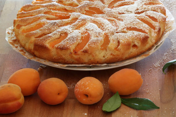 istock Apricot pie sprinkled with powder sugar. 2044791163