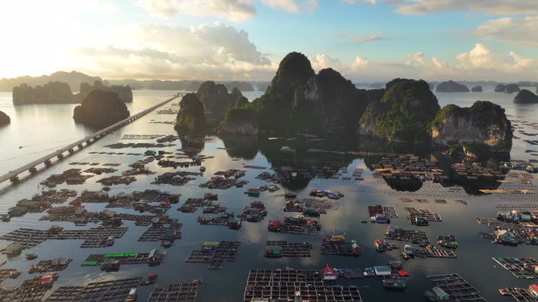 Aerial Drone Sunrise Scene of A Traditional Floating Village by Karst Formations with Rocky Mountain in Halong Bay near Halong City in Vietnam a World Heritage Site.