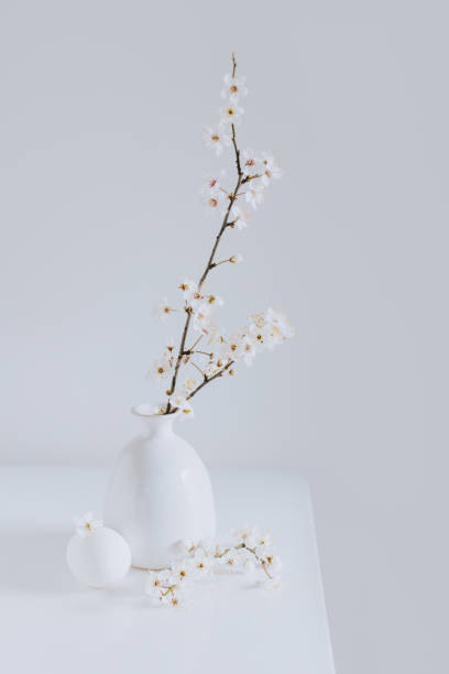istock Beautiful branches with white blossom and eggs on a white table. Minimal Easter concept. 2044810003