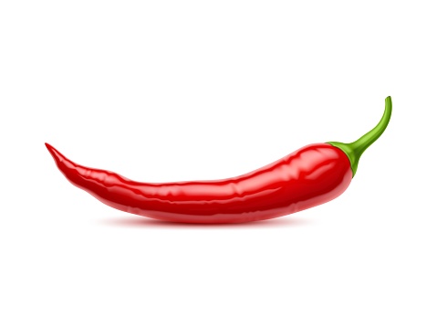 Realistic raw isolated whole chili pepper. 3d vector vibrant, red chilly pod, sleek and fiery, flaunts a slender form, conceals potent heat within, daring taste buds to savor its spicy intensity