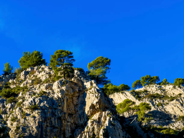 view of part of the creeks of Marseille, with trees and blue sky\nMarseille is a city of south of France