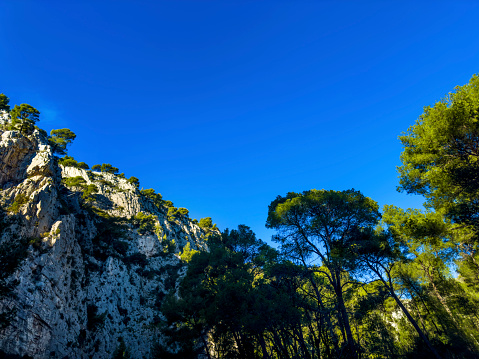 Rocky mountain with pine trees over sunny blue sky in French Riviera