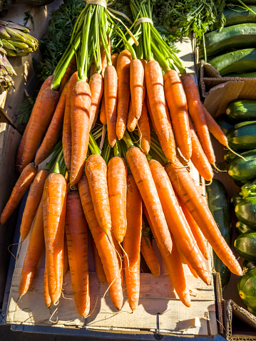 Orange, yellow and purple carrots on green. Organic vegetable