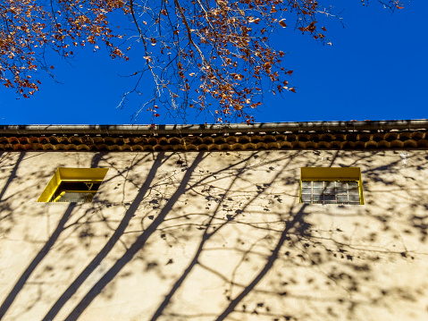 Background of branches shadow on a building facade