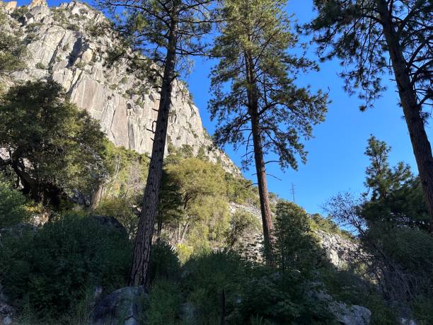 Yosemite National park stock photo