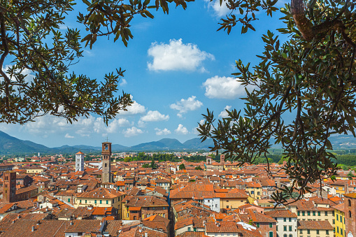 The rooftops of Lucca create a captivating cityscape in the heart of Tuscany, Italy. Nestled within its ancient walls, Lucca's skyline is characterized by terracotta tiles and spires rising against the backdrop of rolling hills.