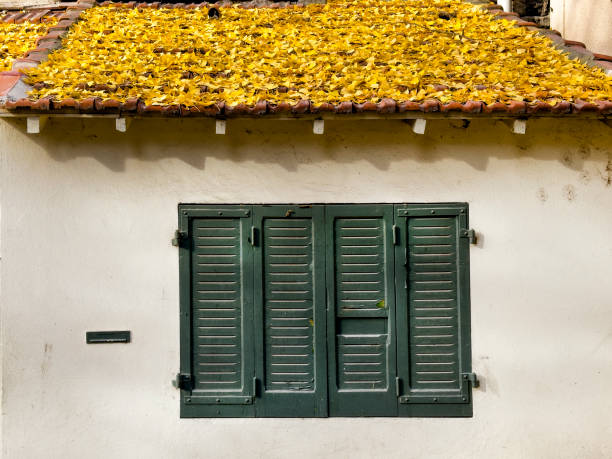 Roof tiles covered with autumn leaves
