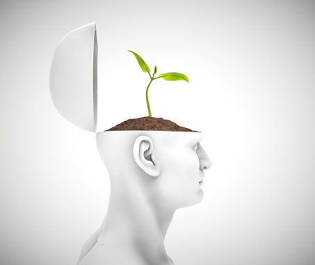 Plant growing from head. Brainstorming, idea, intelligence concept. This is a 3d render illustration