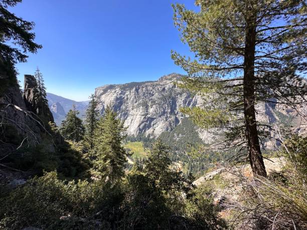 Yosemite National park stock photo