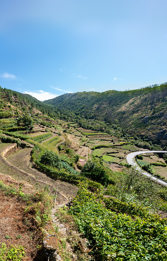 Douro Valley near Pinhão