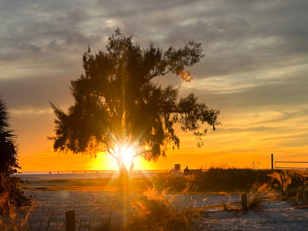 istock Tropical beach with single tree and people during sunset 2044858966