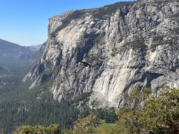 Yosemite National park stock photo