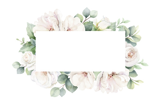 White roses and eucalyptus branches. Watercolor vector rectangular floral frame. Wedding stationary, greetings, wallpapers, fashion, fabric, home decoration. Hand painted illustration.