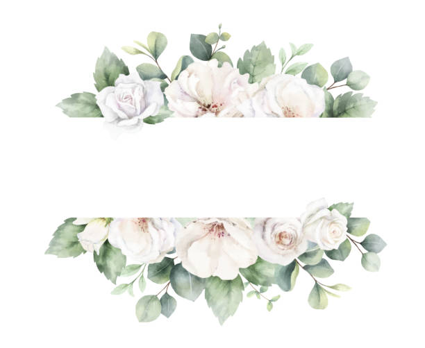 ilustrações de stock, clip art, desenhos animados e ícones de white roses and eucalyptus branches. watercolor vector floral banner. wedding stationary, greetings, wallpapers, fashion, fabric, home decoration. hand painted illustration. - bride backgrounds white bouquet