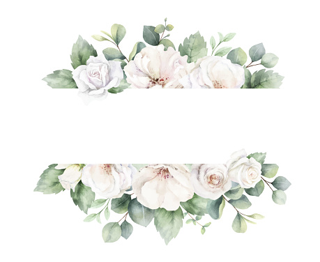 White roses and eucalyptus branches. Watercolor vector floral banner. Wedding stationary, greetings, wallpapers, fashion, fabric, home decoration. Hand painted illustration.