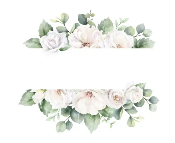 Vector illustration of White roses and eucalyptus branches. Watercolor vector floral banner. Wedding stationary, greetings, wallpapers, fashion, fabric, home decoration. Hand painted illustration.