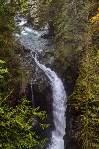 istock Lynn Canyon Falls, North Vancouver, BC, Canada 2044866953