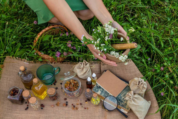 istock A woman collects medicinal herbs 2044877080