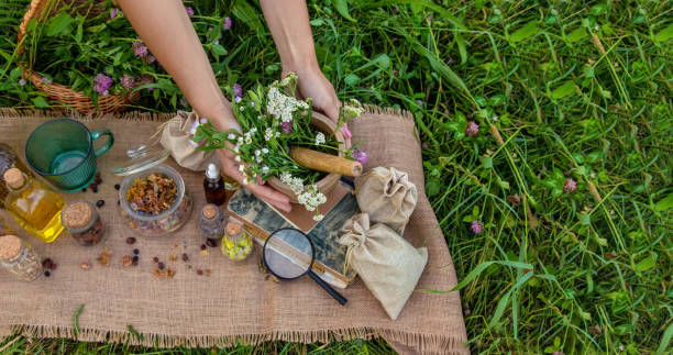 istock A woman collects medicinal herbs 2044877084