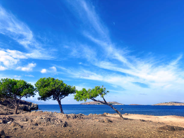 Sunny seaside landscape over blue sky in Foca, Izmir, Aegean Turkey