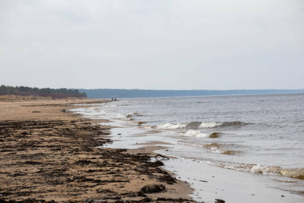 istock nature view with sea sand and blue sky 2044887789
