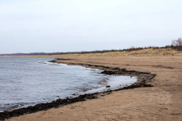 istock nature view with sea sand and blue sky 2044893688