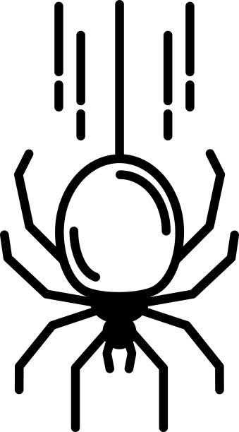 ilustrações de stock, clip art, desenhos animados e ícones de spider glyph and line vector illustration - silhouette spider tarantula backgrounds