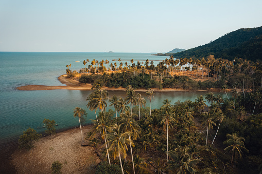 Orange beach and coconut trees in the evening form above