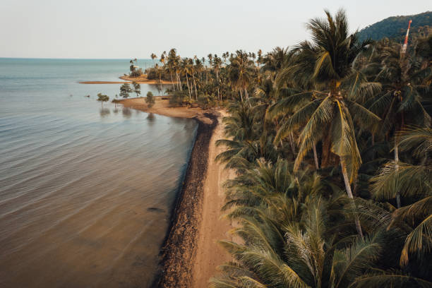 istock Orange beach and coconut trees in the evening 2044939403