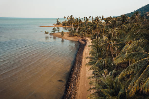 istock Orange beach and coconut trees in the evening 2044939404