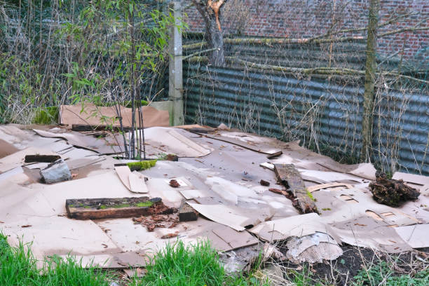 overgrown entrance