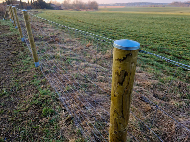 obudowa wykonana z barwionych ciśnieniowo palików na metalowych nóżkach zabezpieczających drewno przed gniciem. wierzchołek słupa pokryty jest metalową zaślepką i daszkiem wykonanym z blachy ocynkowanej - spring bud horizontal color image zdjęcia i obrazy z banku zdjęć