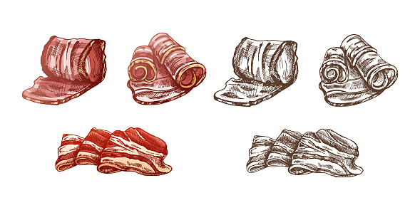 Hand-drawn colored and monochrome vector sketch set of bacon, hamon or pork meat, ham slices. Italian prosciutto vintage sketch. Butcher shop. Great for label, restaurant menu. Engraved image.