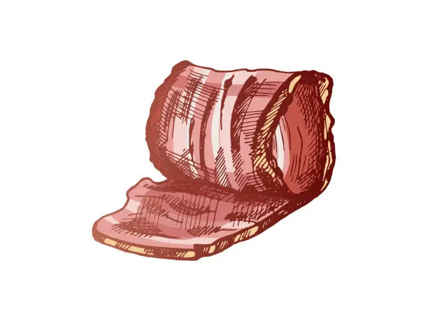 Vector illustration of Hand-drawn colored vector sketch of hamon or pork meat, ham slice. Italian prosciutto vintage sketch. Butcher shop. Great for label, restaurant menu. Engraved image.